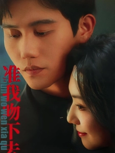 短剧准我吻下去海报