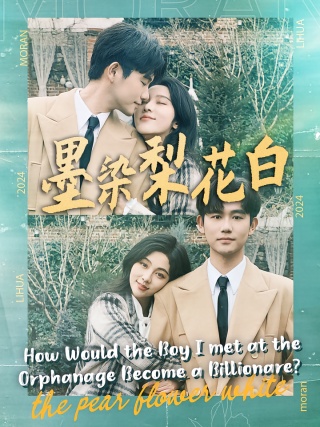 短剧墨染梨花白海报