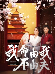 短剧我命由我不由夫海报