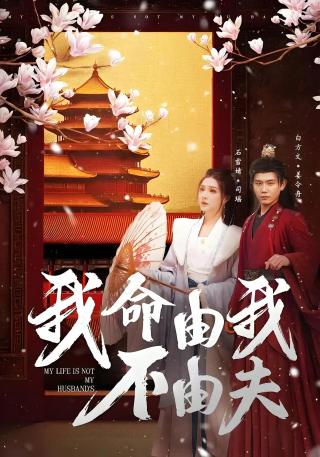 短剧我命由我不由夫海报