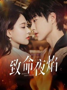 短剧致命夜焰海报
