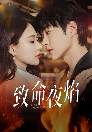 短剧致命夜焰海报