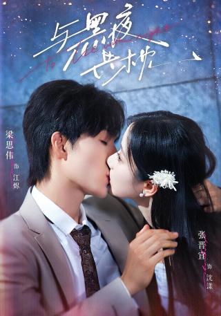 短剧与黑夜共枕海报