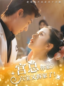 短剧宫总，你家六宝又拆家了海报