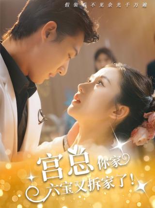 短剧宫总，你家六宝又拆家了海报