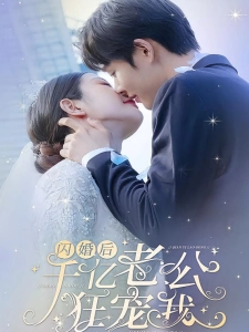 短剧闪婚后，千亿老公狂宠我海报