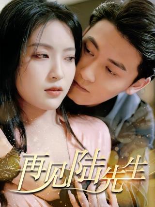 短剧再见陆先生海报