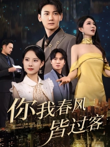 短剧你我春风皆过客海报