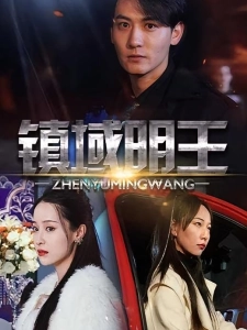 短剧镇域明王海报