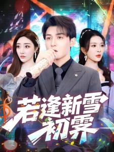 短剧若逢新雪初霁海报