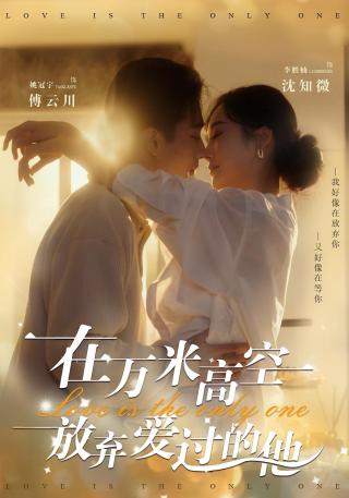 短剧在万米高空放弃爱过的他海报