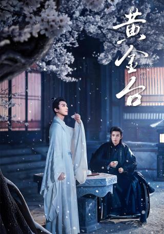 短剧黄金台海报