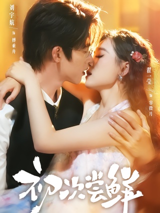 短剧初次尝鲜海报