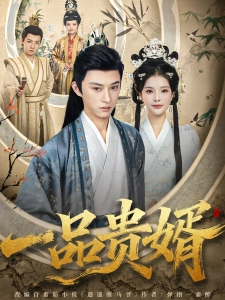 短剧一品贵婿海报