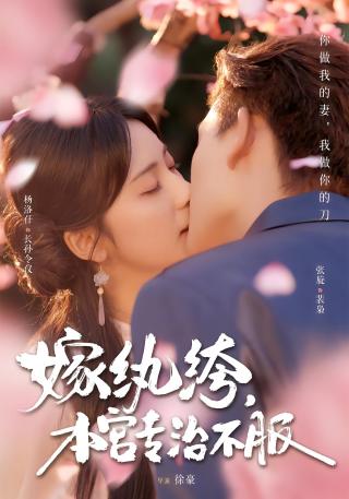 短剧嫁纨绔，本宫专治不服海报