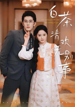 短剧白茶清欢无别事海报