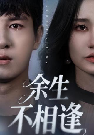 短剧余生不相逢海报