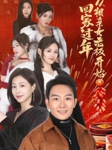 短剧回家过年从相亲女老板开始海报