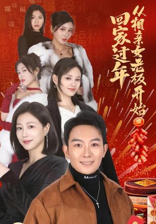 短剧回家过年从相亲女老板开始海报