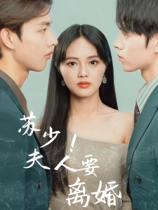 短剧苏少！夫人要离婚海报