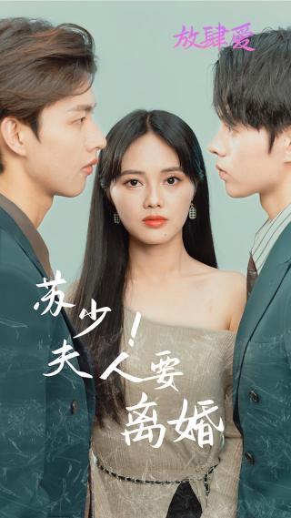 短剧苏少！夫人要离婚海报