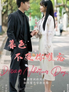 短剧暮色不及你难忘海报