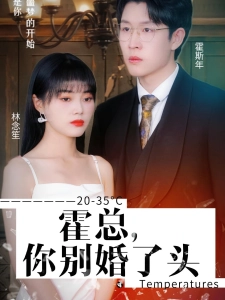 短剧霍总，你别婚了头海报