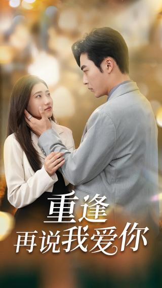 短剧重逢再说我爱你海报