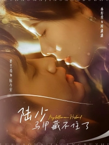 短剧陆少马甲藏不住了海报