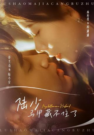 短剧陆少马甲藏不住了海报