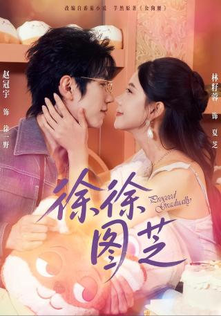 短剧徐徐图芝海报