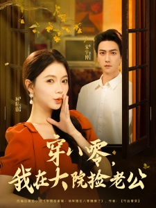 短剧穿八零，我在大院捡老公海报