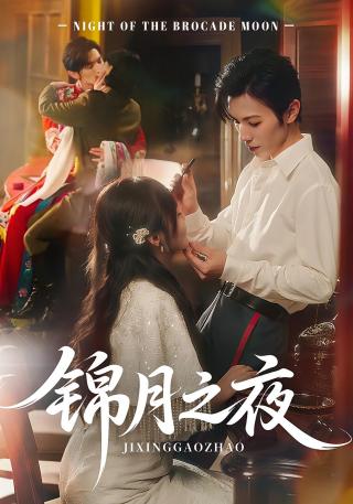 短剧锦月之夜海报