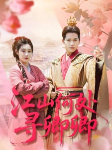 短剧江山何处寻卿卿海报