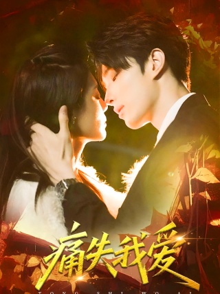 短剧痛失我爱海报