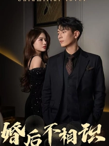 短剧婚后不相识海报