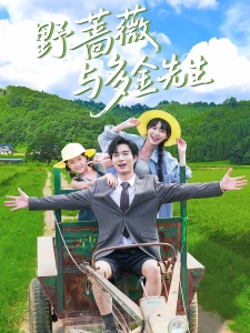 短剧野蔷薇与多金先生海报