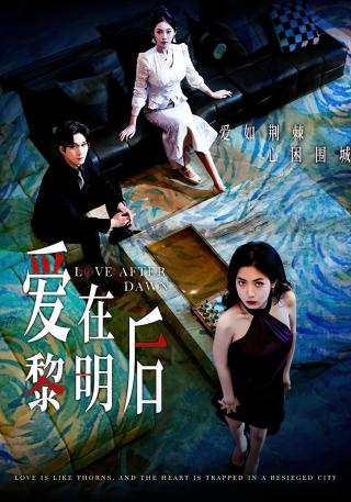 短剧爱在黎明后海报