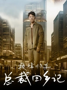 短剧巅峰归来总裁回乡记海报