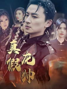 短剧真假龙帅海报