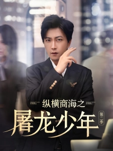 短剧纵横商海之屠龙少年第二季海报
