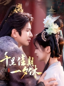 短剧千里佳期一夕休海报