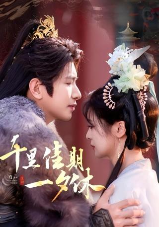 短剧千里佳期一夕休海报