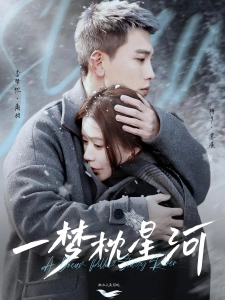 短剧一梦枕星河海报