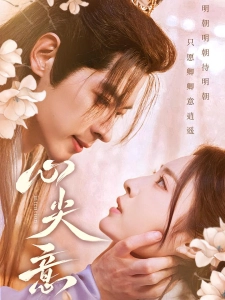 短剧心尖意海报