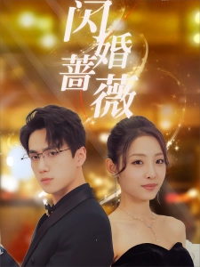 短剧闪婚蔷薇海报