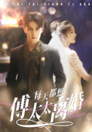 短剧傅太太每天都想离婚海报