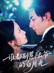 短剧谁都别惹陆爷的白月光海报