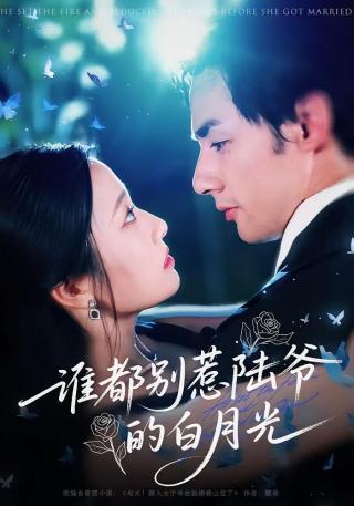 短剧谁都别惹陆爷的白月光海报