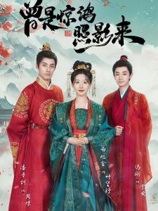 短剧曾是惊鸿照影来海报